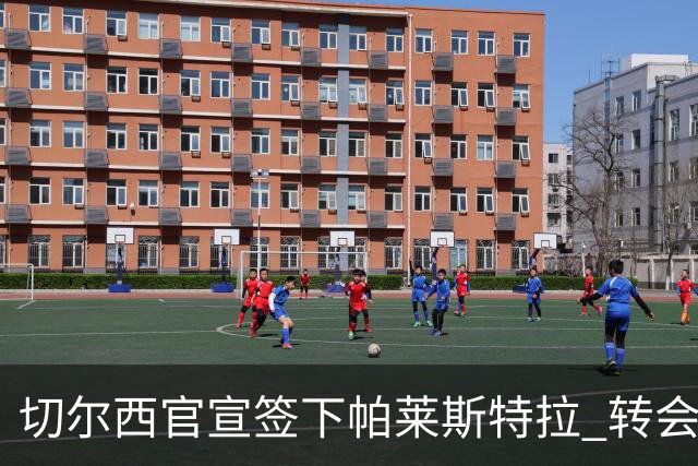 切尔西官宣签下帕莱斯特拉 转会费超5500万欧签约7年