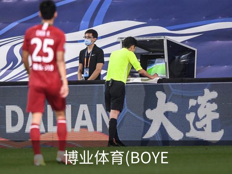 博业体育(BOYE概况